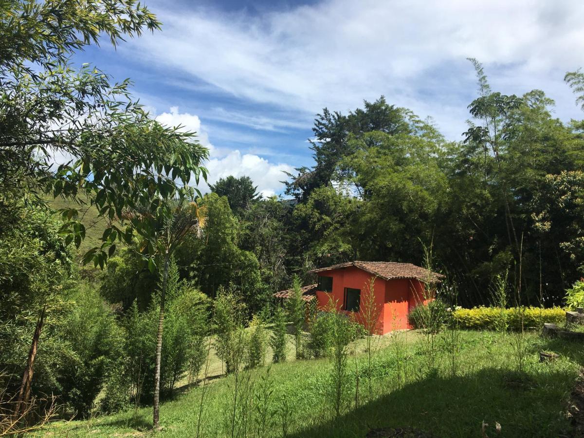Ecolodge Bahia Del Penon Guatapé Eksteriør billede