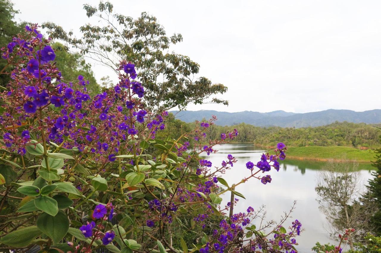 Ecolodge Bahia Del Penon Guatapé Eksteriør billede