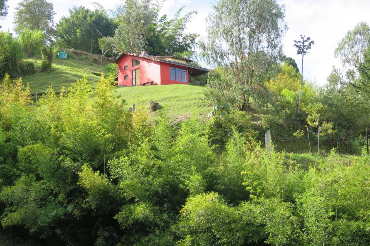 Ecolodge Bahia Del Penon Guatapé Eksteriør billede