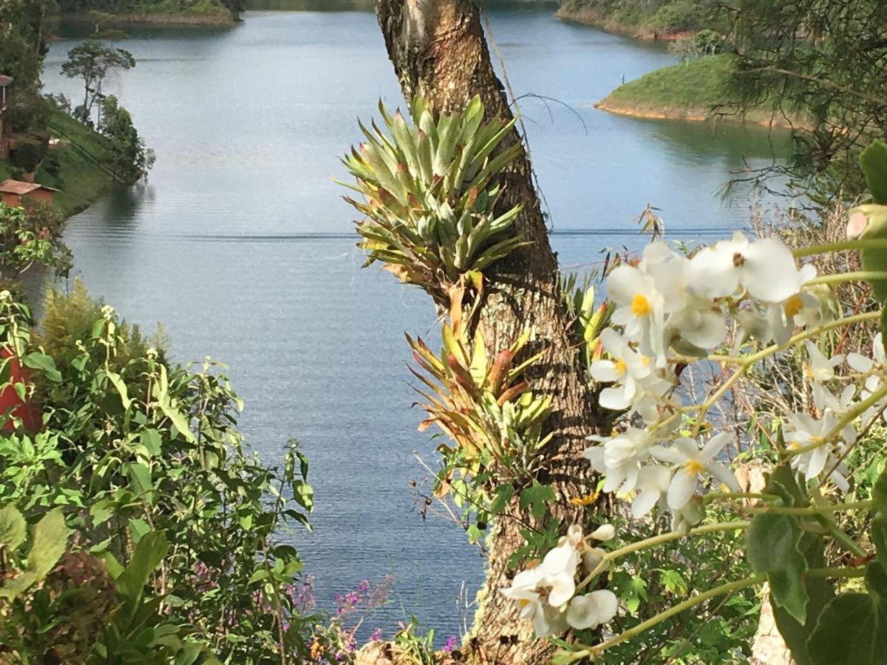 Ecolodge Bahia Del Penon Guatapé Eksteriør billede