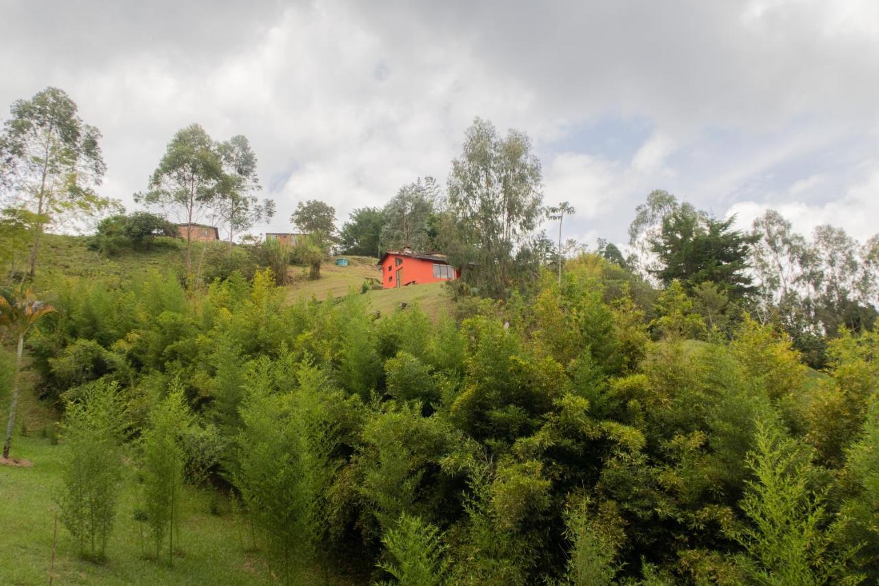 Ecolodge Bahia Del Penon Guatapé Eksteriør billede